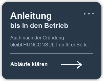 Grafik zur fortlaufenden Anleitung nach der Firmengründung in Ungarn.