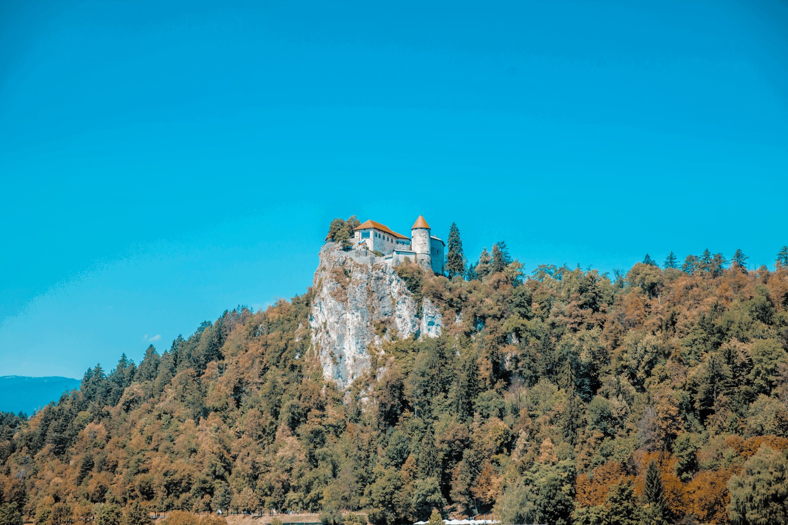 Stiftungen in Liechtenstein vs Deutschland Stiftungen – Stiftungen in Liechtenstein vs Deutschla