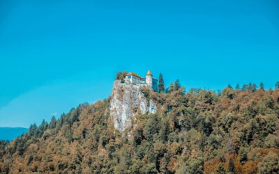 Firmengründung in Ungarn mit HUNCONSULT 2 Stiftungen in Liechtenstein vs Deutschland