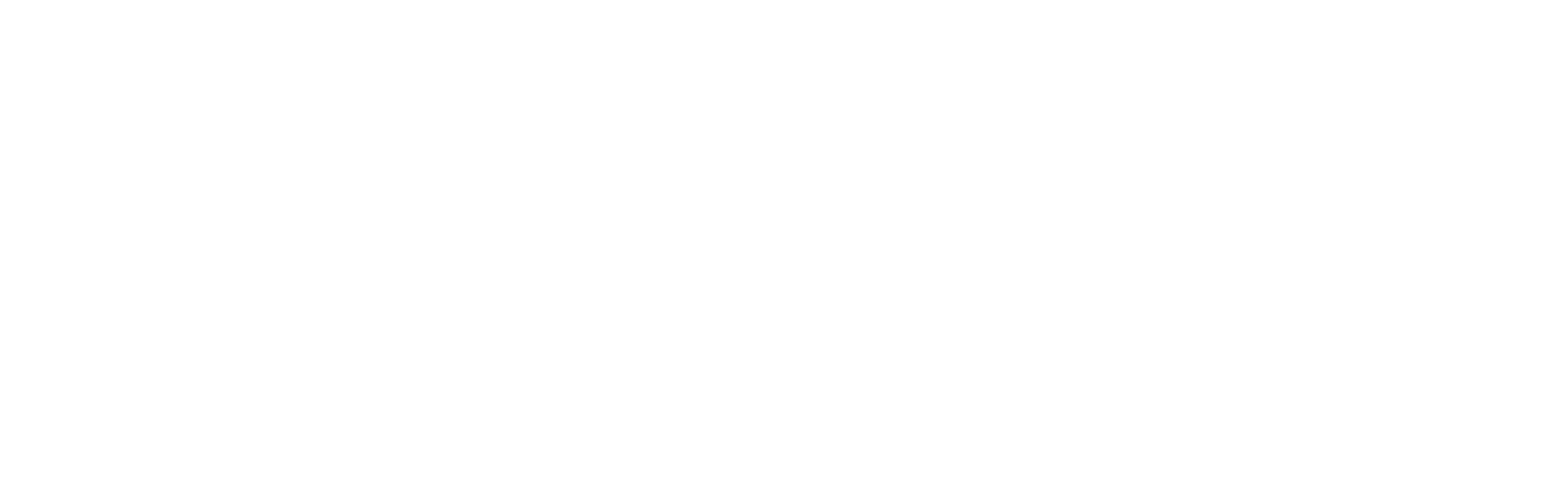 HUNCONSULT – gründen, begleiten, anleiten